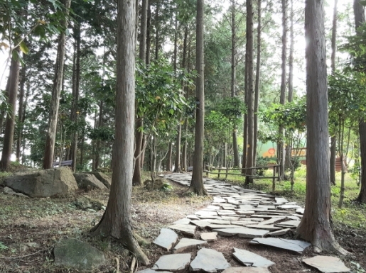 ���� ����7