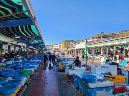 ���� ����7