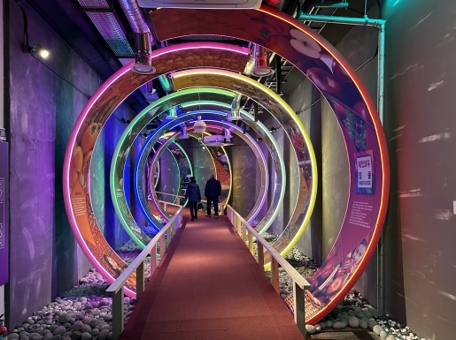 ���� ����3