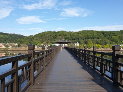 ���� ����1