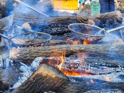 ���� ����3