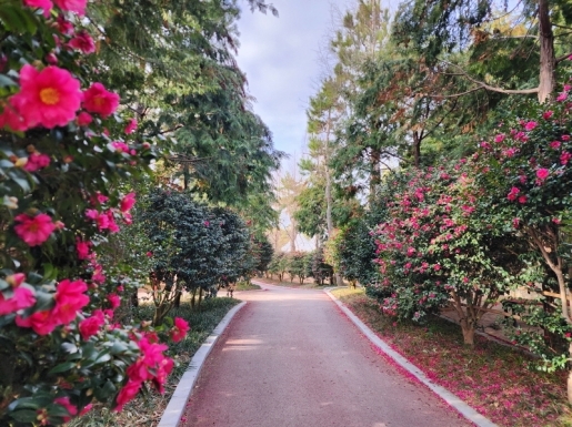 ���� ����7