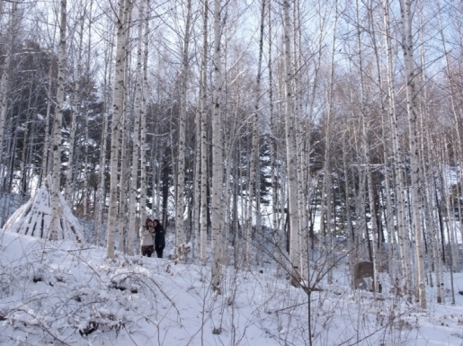 ���� ����4