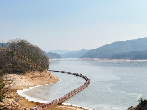 ���� ����3