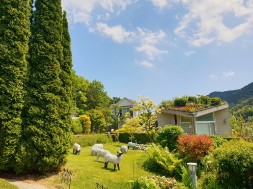 ���� ����5