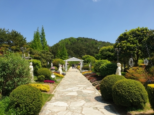 ���� ����7