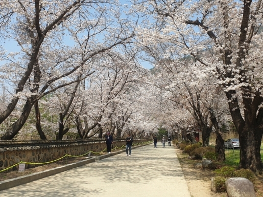 ���� ����6