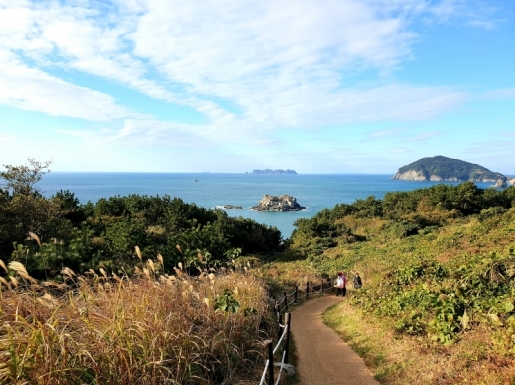 ���� ����2