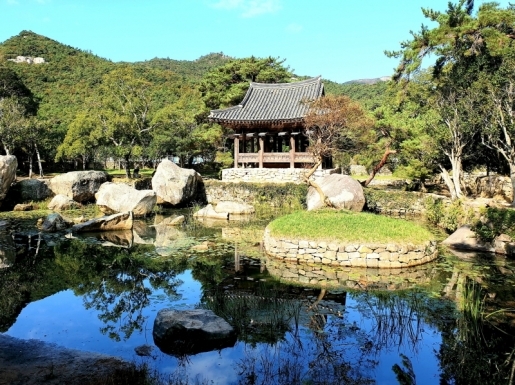 ���� ����5