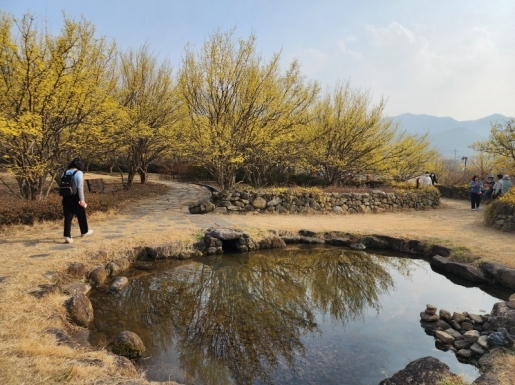 ���� ����6