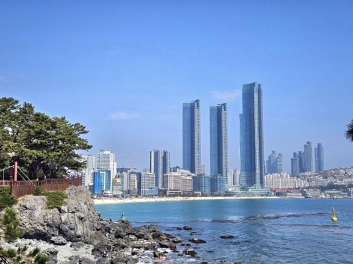 ���� ����5