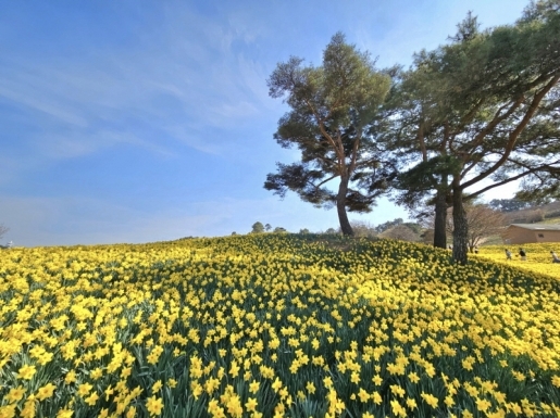 ���� ����2