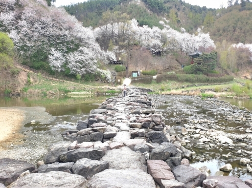 ���� ����7