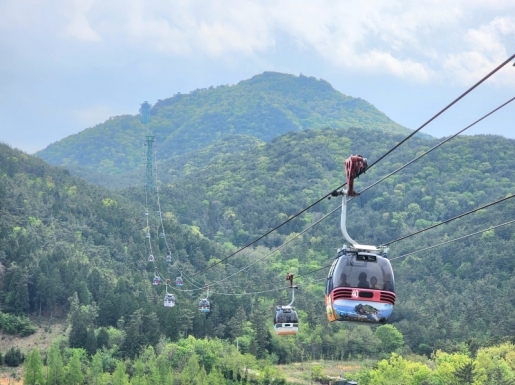 ���� ����2