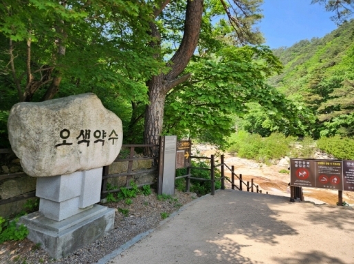 ���� ����2