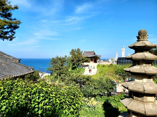 ���� ����6