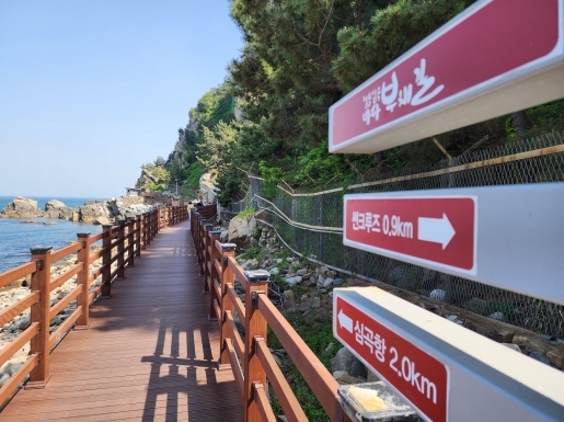 ���� ����3