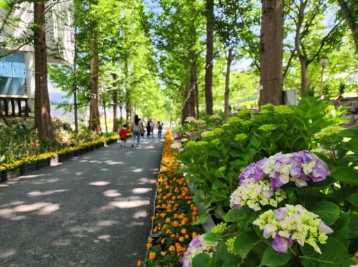 ���� ����4