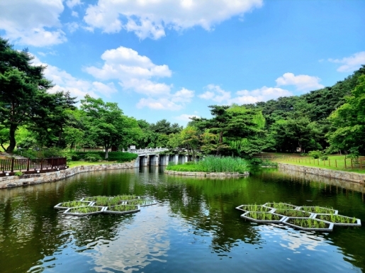 ���� ����5