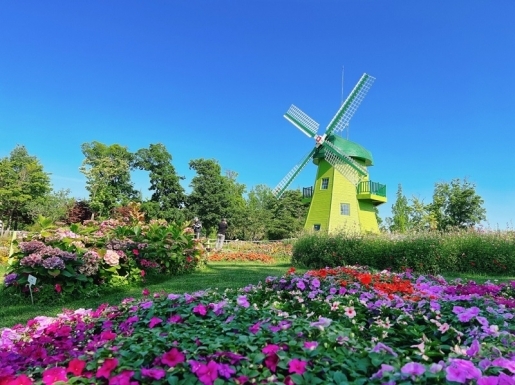 ���� ����4