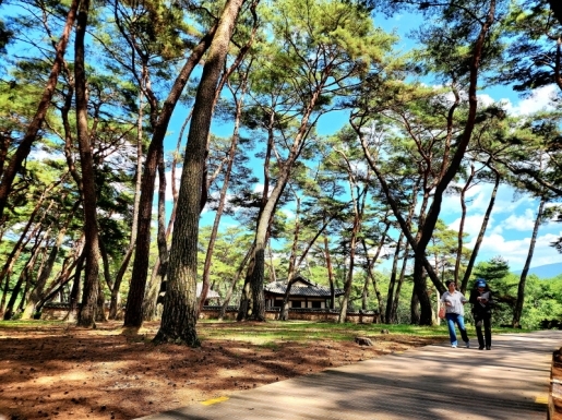 ���� ����3