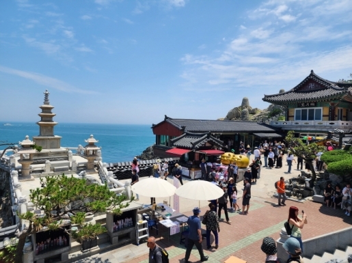 ���� ����3