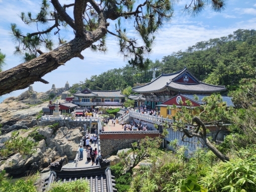 ���� ����4