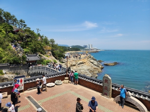 ���� ����6