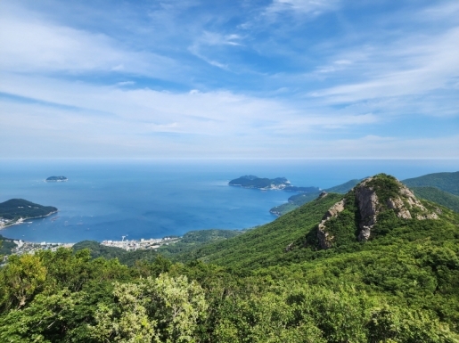 ���� ����4