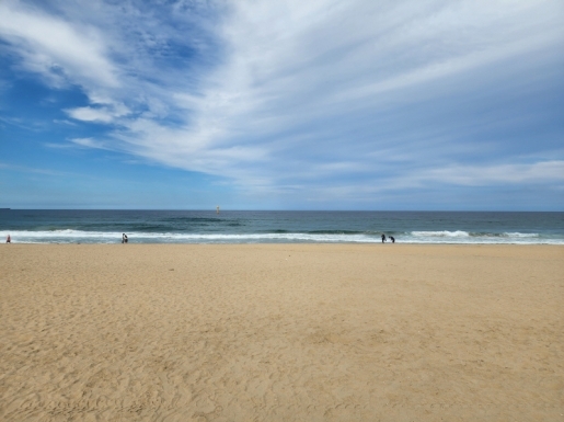 ���� ����5