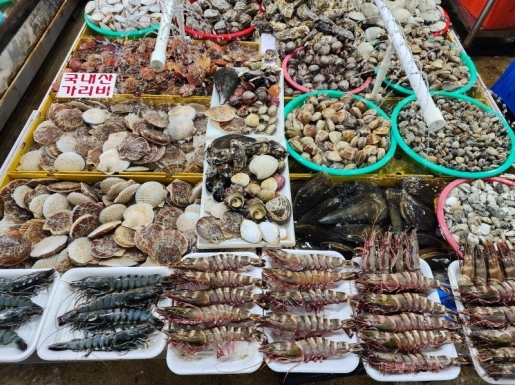 ���� ����5