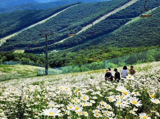 ���� ����3