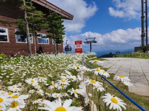 ���� ����2