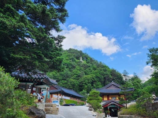 ���� ����4