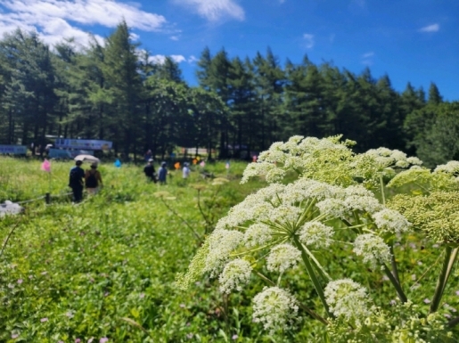 ���� ����5