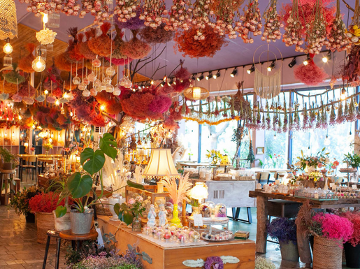 ���� ����2