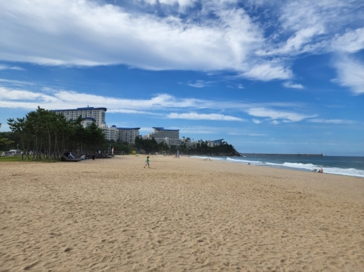 ���� ����5