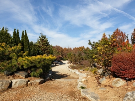 ���� ����3