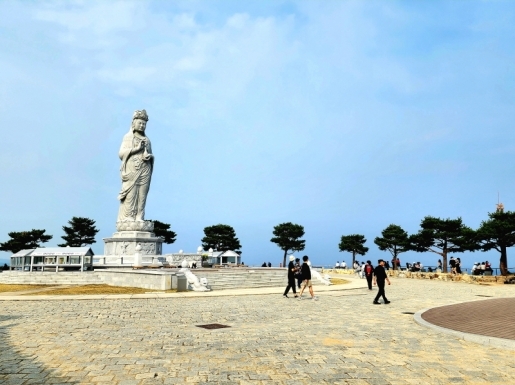 ���� ����5