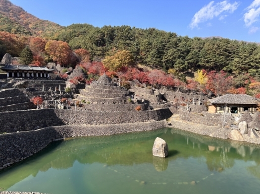 ���� ����4