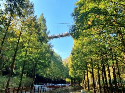 ���� ����6