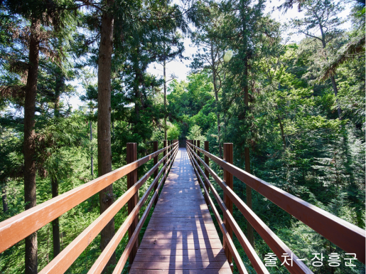 ���� ����6