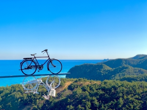 ���� ����4