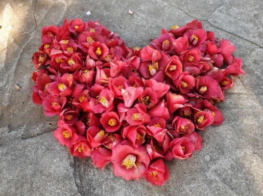 ���� ����2