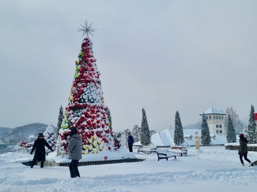 ���� ����5