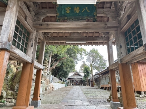 ���� ����6