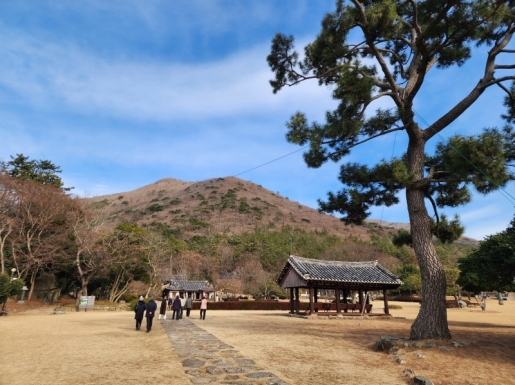 ���� ����4