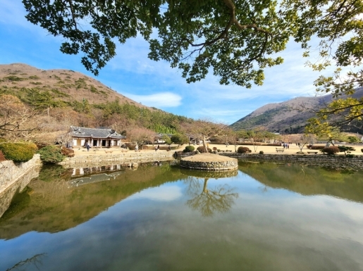 ���� ����3