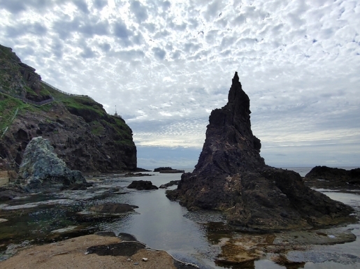 ���� ����6