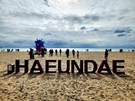 ���� ����6